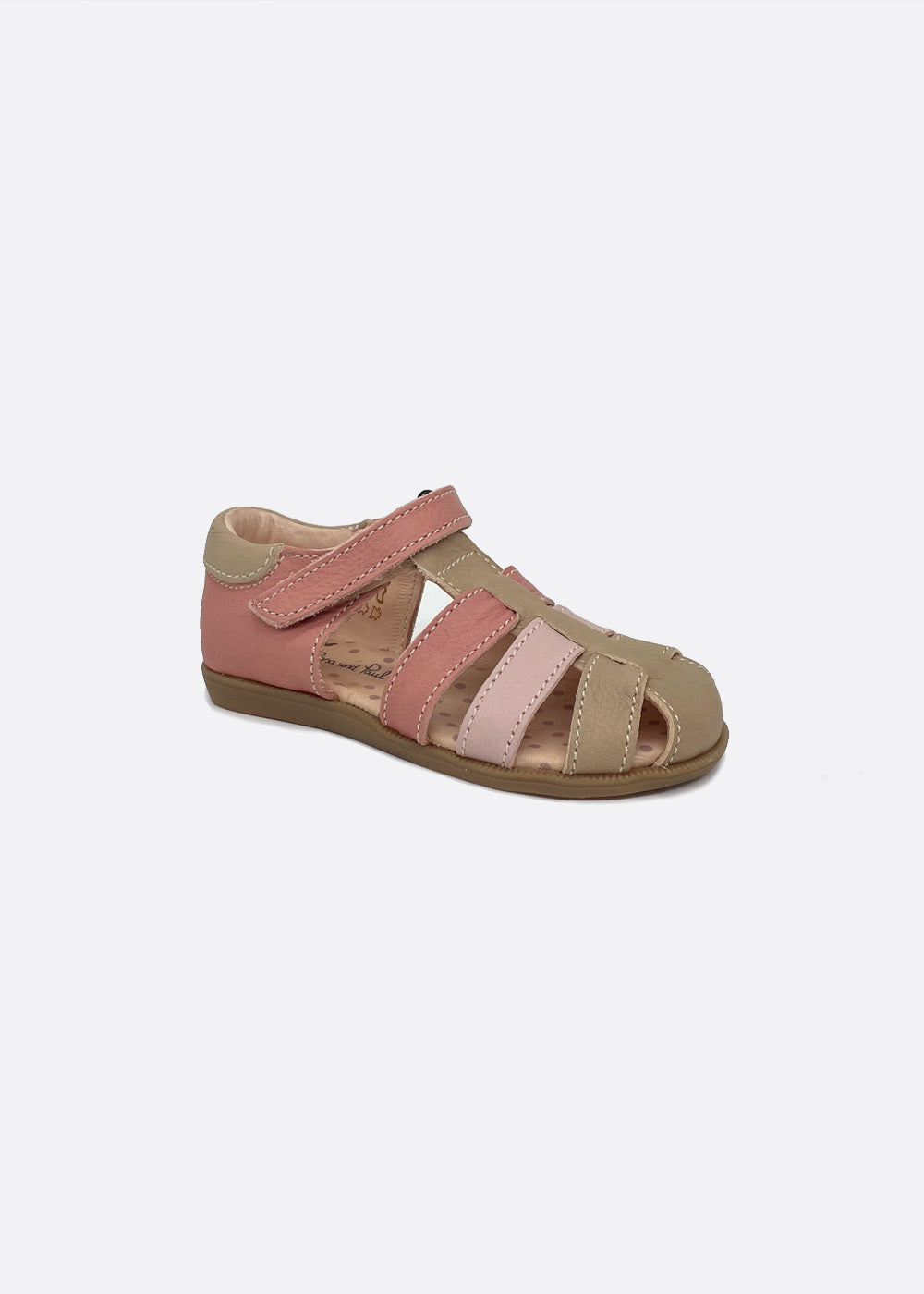 flamingo/sand